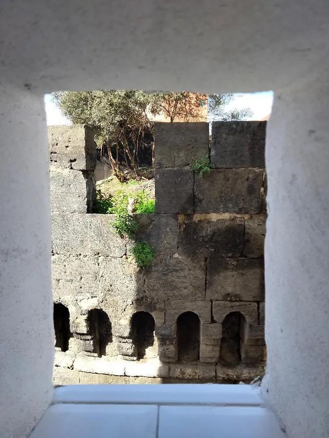 Puntoxenia Torri Aragonesi Apartment Naples
